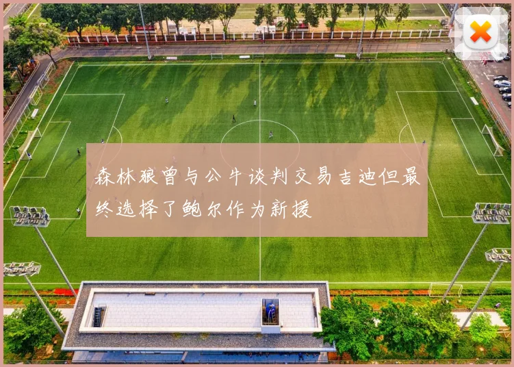 森林狼曾与公牛谈判交易吉迪但最终选择了鲍尔作为新援