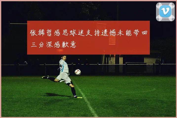 张稀哲感恩球迷支持遗憾未能带回三分深感歉意