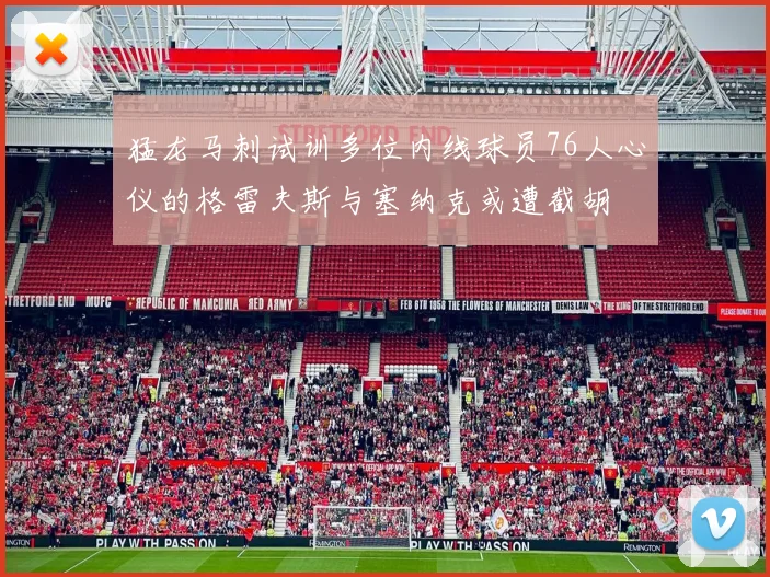 猛龙马刺试训多位内线球员76人心仪的格雷夫斯与塞纳克或遭截胡